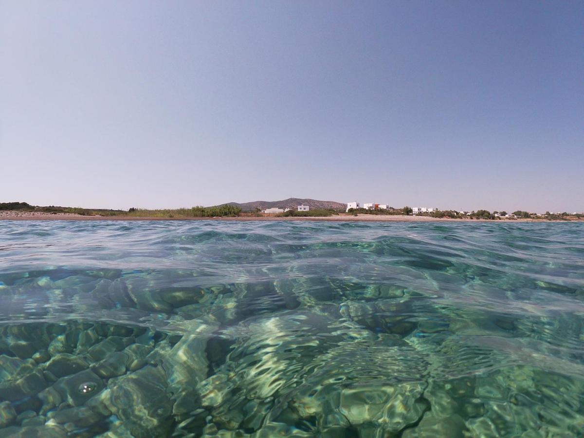 Seashore Beachfront Villa Lakhania Bagian luar foto